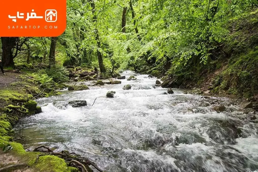 رودخانه گوهر رود