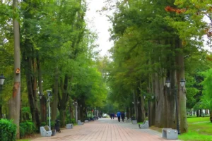 پارک ملت رشت