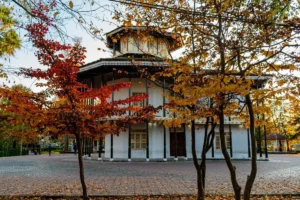 باغ محتشم رشت