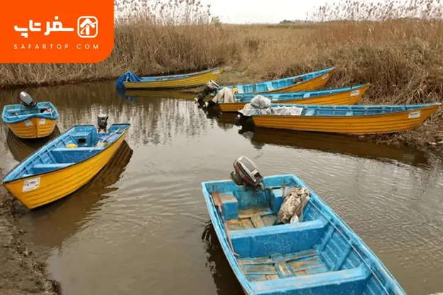 ماهیگیری در پارک بوجاق