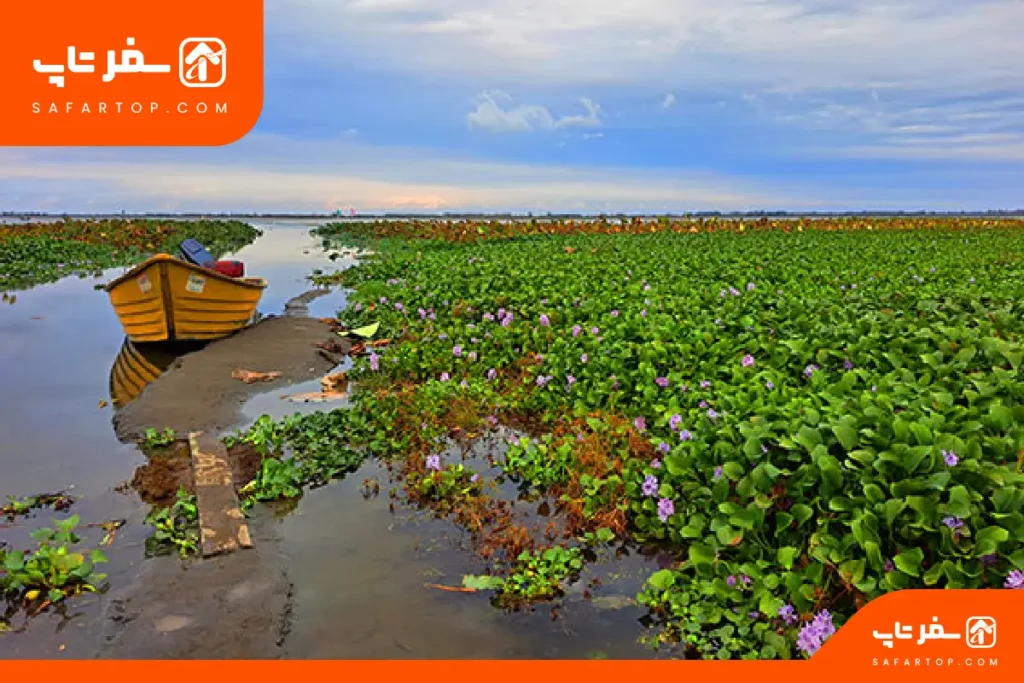 سفر به تالاب انزلی