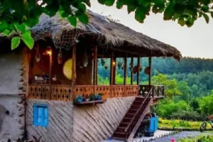 28 کافه خوب در رشت