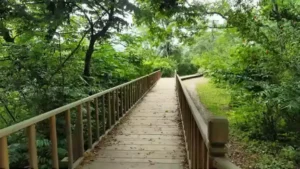 پارک ملی بوجاق