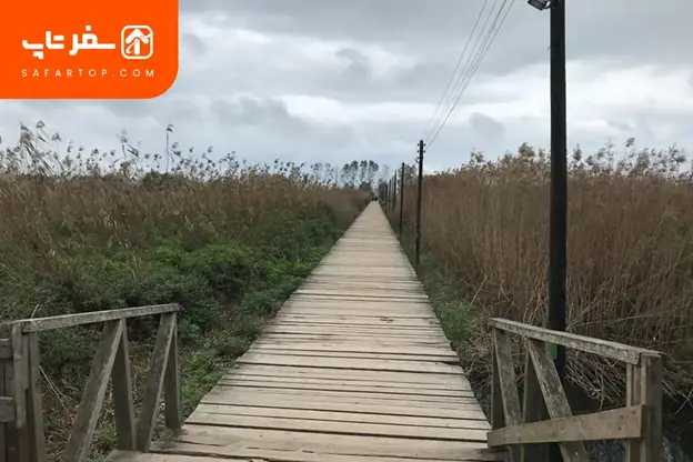 پل چوبی کیاشهر