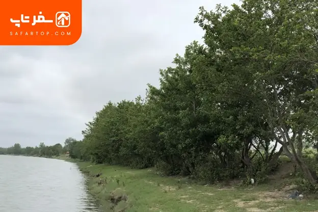 پوشش گیاهی پارک بوجاق