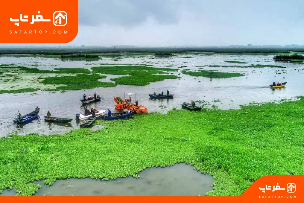 تالاب انزلی