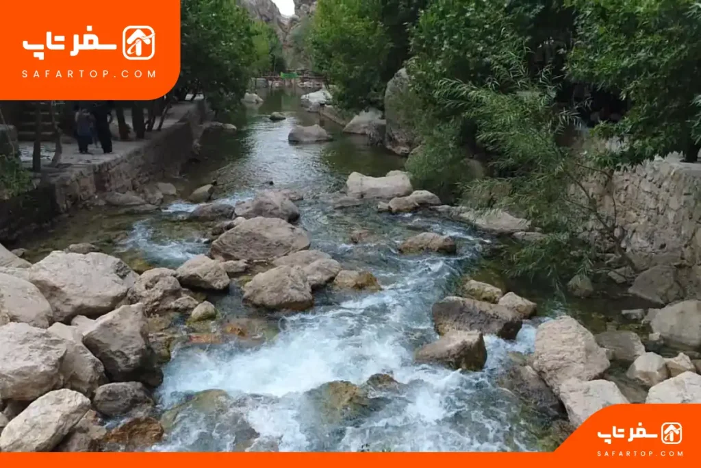 چشمه ناز ونک 