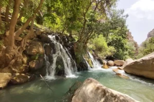 چشمه ناز